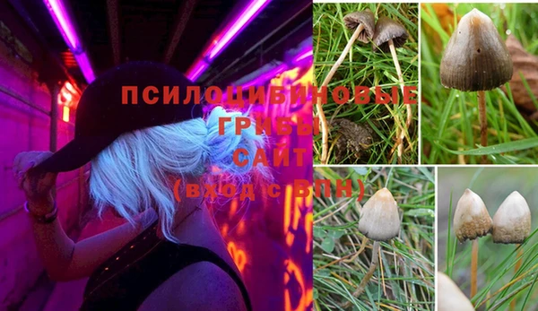 MDMA Premium VHQ Алзамай