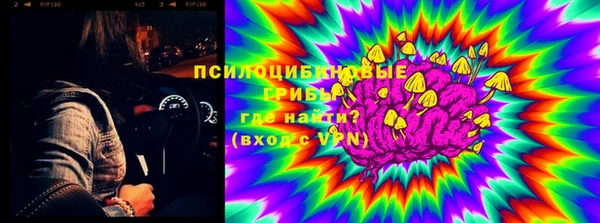 синтетический гашиш Алексин