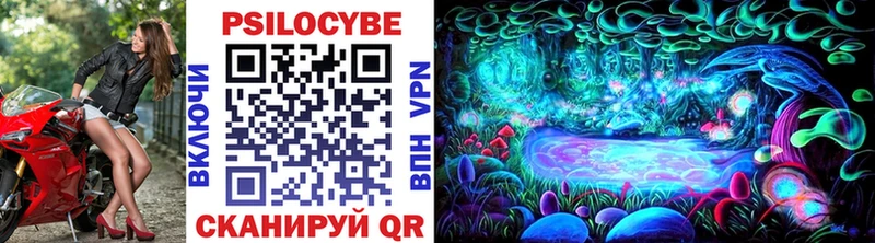 kraken как зайти  Лесной  Галлюциногенные грибы Cubensis 